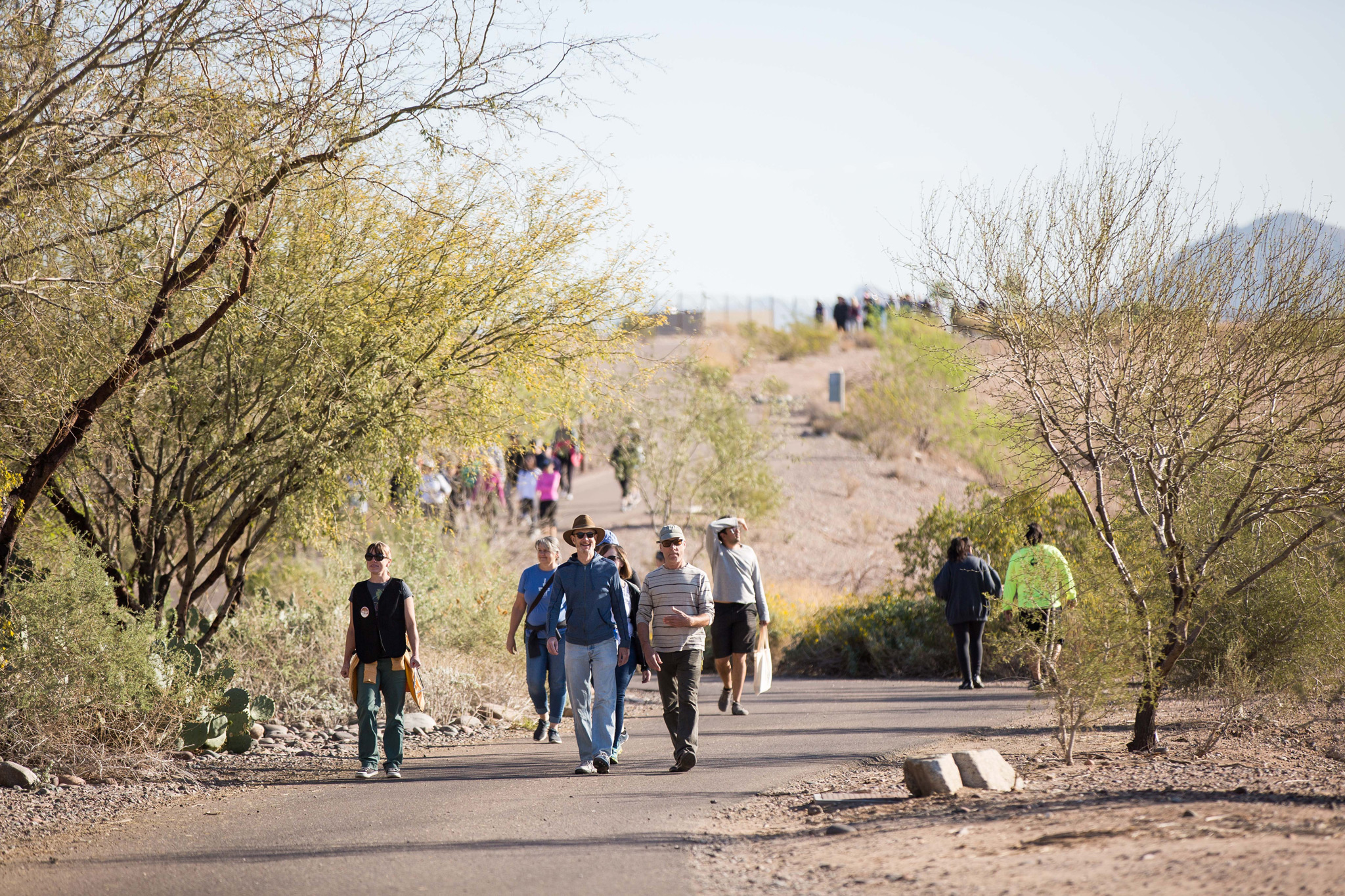 group of people walking on path in desert landscape