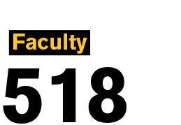 Text: Faculty 518