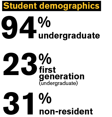 Text: Student demographics 94% undergraduate 23% first generation (undergraduate) 31% non-resident