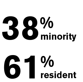 38% minority, 61% resident