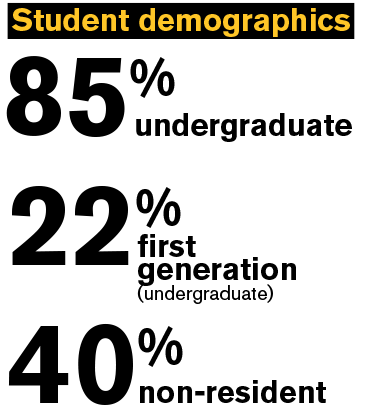 Text: Student demographics 85% undergraduate 22% first generation undergraduate 40% non-resident 