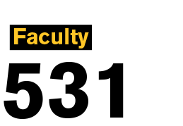 Faculty 531