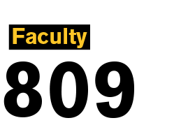 Faculty 809